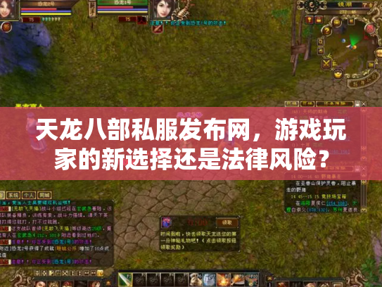 天龙八部私服发布网，游戏玩家的新选择还是法律风险？