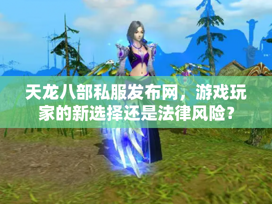 天龙八部私服发布网，游戏玩家的新选择还是法律风险？