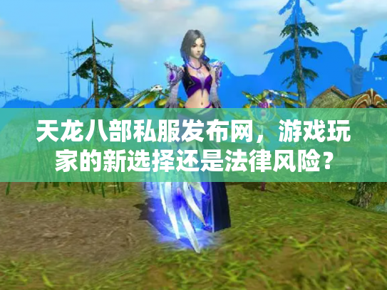 天龙八部私服发布网，游戏玩家的新选择还是法律风险？