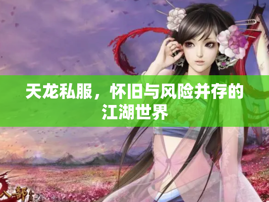 天龙私服，怀旧与风险并存的江湖世界