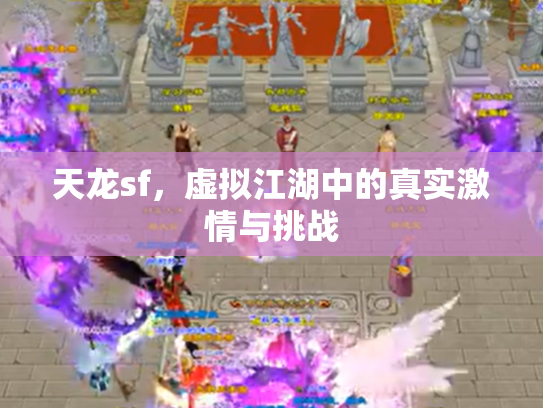 天龙sf，虚拟江湖中的真实激情与挑战