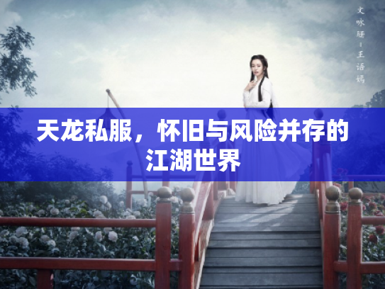 天龙私服，怀旧与风险并存的江湖世界