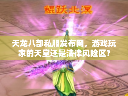 天龙八部私服发布网，游戏玩家的天堂还是法律风险区？