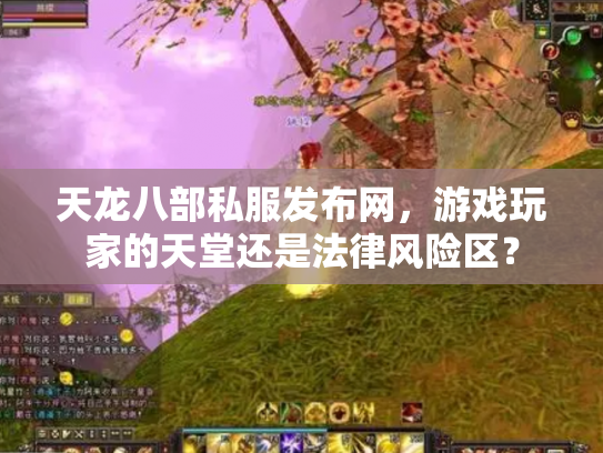 天龙八部私服发布网，游戏玩家的天堂还是法律风险区？