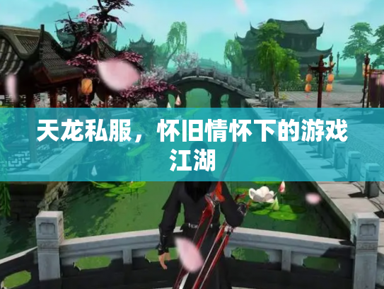 天龙私服，怀旧情怀下的游戏江湖