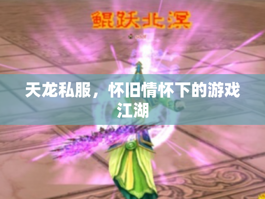 天龙私服，怀旧情怀下的游戏江湖