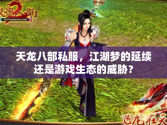 天龙八部私服，江湖梦的延续还是游戏生态的威胁？
