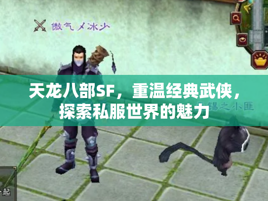 天龙八部SF，重温经典武侠，探索私服世界的魅力