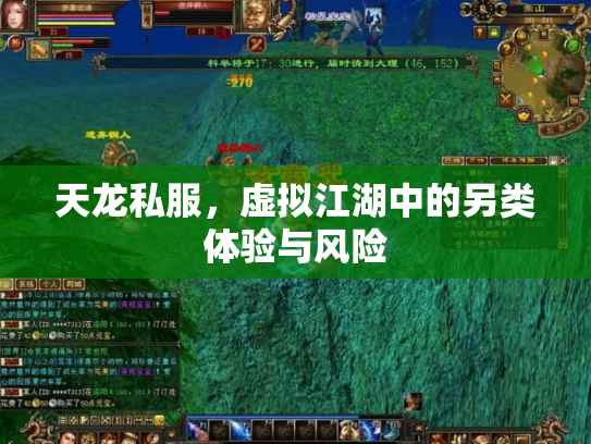 天龙私服，虚拟江湖中的另类体验与风险
