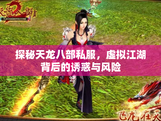 探秘天龙八部私服，虚拟江湖背后的诱惑与风险