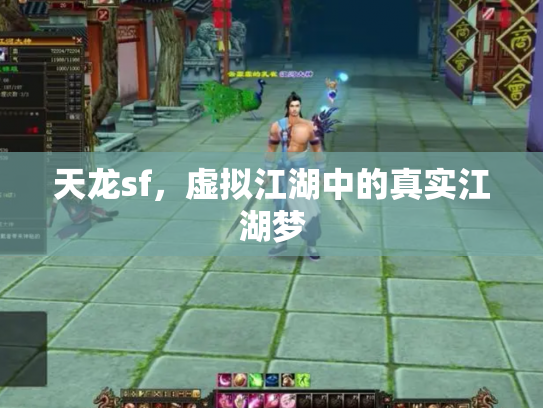 天龙sf，虚拟江湖中的真实江湖梦