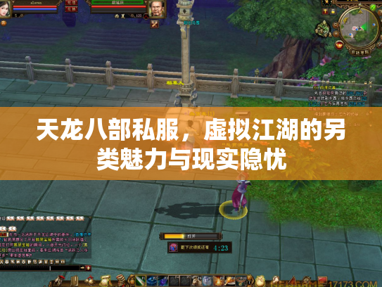 天龙八部私服，虚拟江湖的另类魅力与现实隐忧