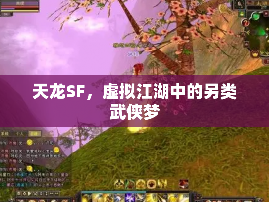 天龙SF，虚拟江湖中的另类武侠梦