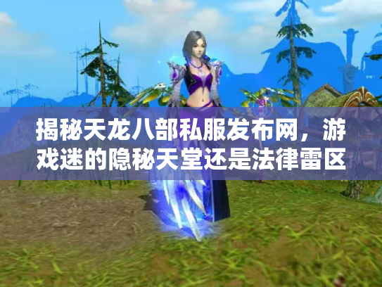 揭秘天龙八部私服发布网，游戏迷的隐秘天堂还是法律雷区？