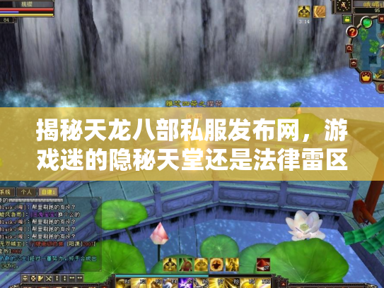 揭秘天龙八部私服发布网，游戏迷的隐秘天堂还是法律雷区？