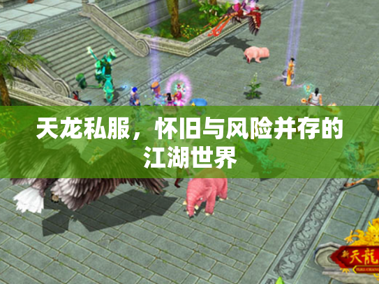 天龙私服，怀旧与风险并存的江湖世界