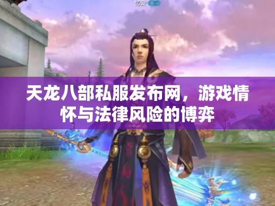 天龙八部私服发布网，游戏情怀与法律风险的博弈
