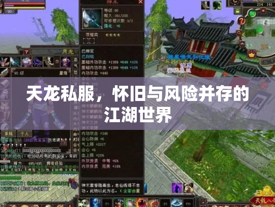 天龙私服，怀旧与风险并存的江湖世界