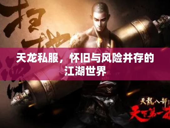 天龙私服，怀旧与风险并存的江湖世界