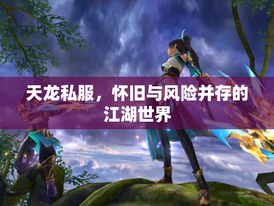 天龙私服，怀旧与风险并存的江湖世界