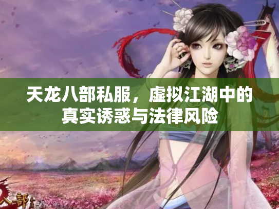 天龙八部私服，虚拟江湖中的真实诱惑与法律风险