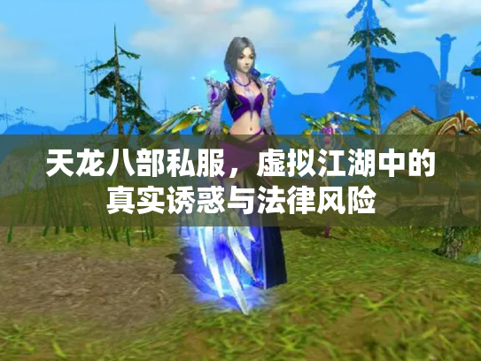 天龙八部私服，虚拟江湖中的真实诱惑与法律风险