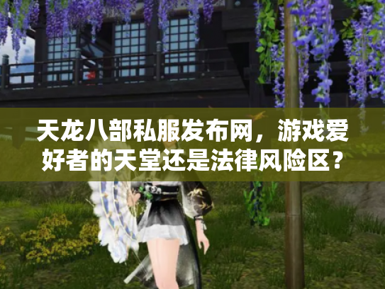 天龙八部私服发布网，游戏爱好者的天堂还是法律风险区？