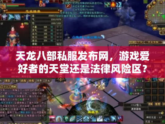天龙八部私服发布网，游戏爱好者的天堂还是法律风险区？