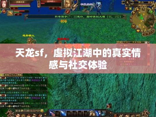 天龙sf，虚拟江湖中的真实情感与社交体验