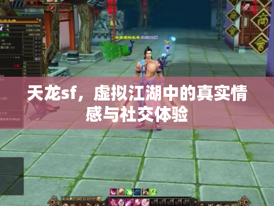 天龙sf，虚拟江湖中的真实情感与社交体验
