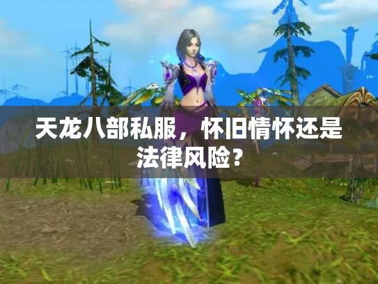 天龙八部私服，怀旧情怀还是法律风险？