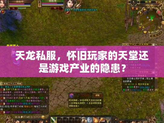 天龙私服，怀旧玩家的天堂还是游戏产业的隐患？