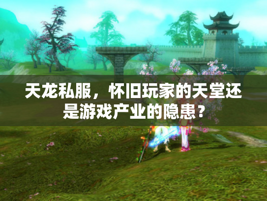 天龙私服，怀旧玩家的天堂还是游戏产业的隐患？