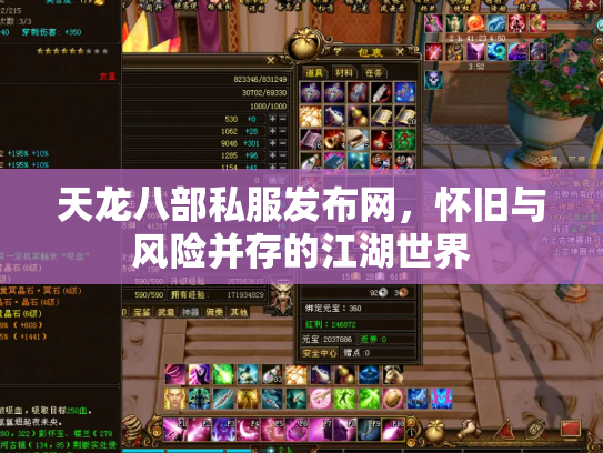 天龙八部私服发布网，怀旧与风险并存的江湖世界
