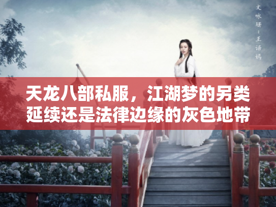 天龙八部私服，江湖梦的另类延续还是法律边缘的灰色地带？