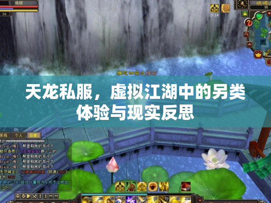 天龙私服，虚拟江湖中的另类体验与现实反思
