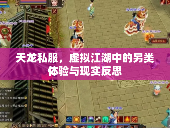 天龙私服，虚拟江湖中的另类体验与现实反思
