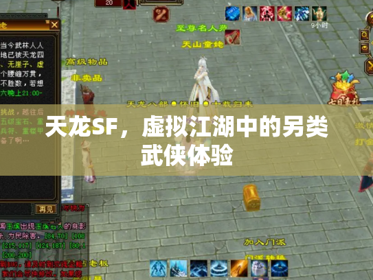 天龙SF，虚拟江湖中的另类武侠体验