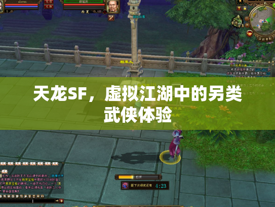 天龙SF，虚拟江湖中的另类武侠体验