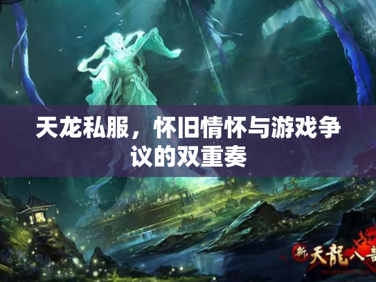天龙私服，怀旧情怀与游戏争议的双重奏