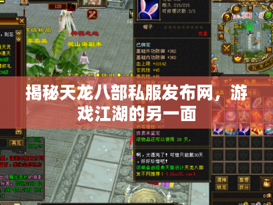 揭秘天龙八部私服发布网，游戏江湖的另一面