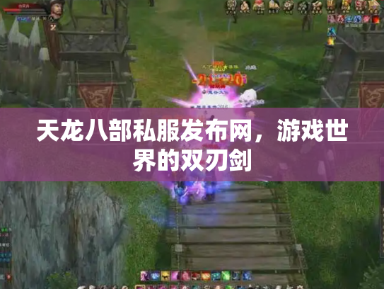 天龙八部私服发布网，游戏世界的双刃剑