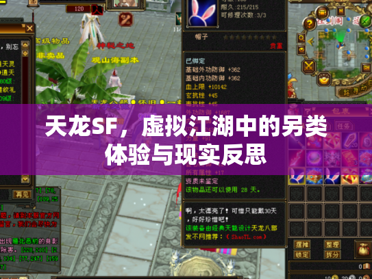天龙SF，虚拟江湖中的另类体验与现实反思