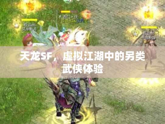 天龙SF，虚拟江湖中的另类武侠体验