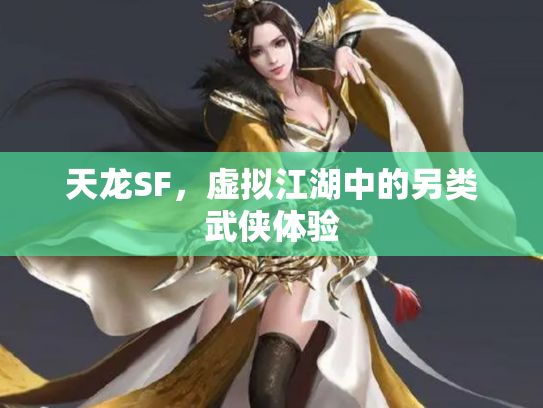 天龙SF，虚拟江湖中的另类武侠体验