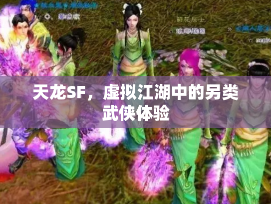 天龙SF，虚拟江湖中的另类武侠体验