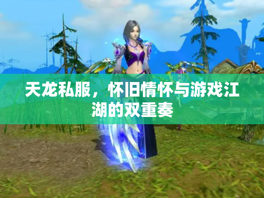 天龙私服，怀旧情怀与游戏江湖的双重奏