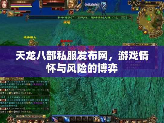 天龙八部私服发布网，游戏情怀与风险的博弈