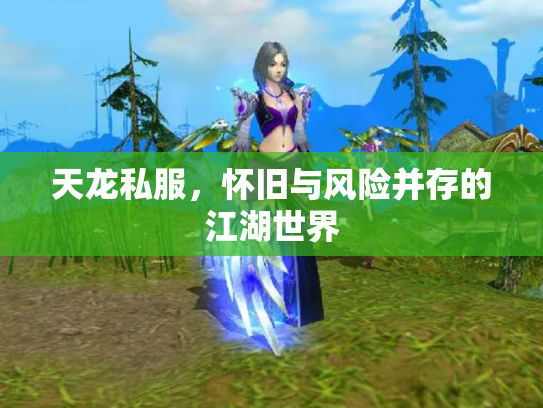 天龙私服，怀旧与风险并存的江湖世界
