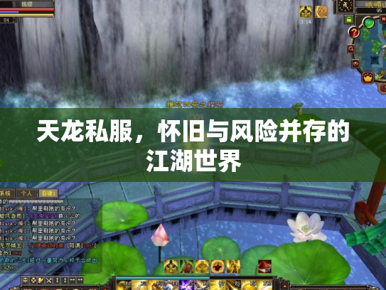 天龙私服，怀旧与风险并存的江湖世界